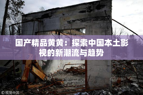 国产精品黄黄：探索中国本土影视的新潮流与趋势