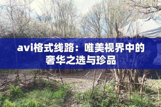 avi格式线路：唯美视界中的奢华之选与珍品