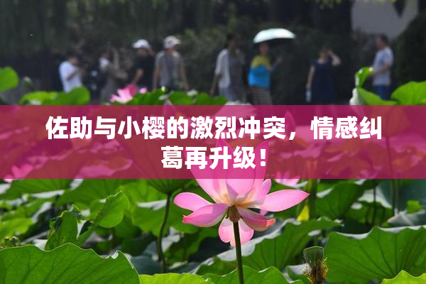 佐助与小樱的激烈冲突，情感纠葛再升级！