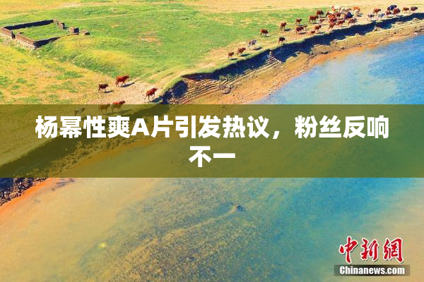 杨幂性爽A片引发热议，粉丝反响不一