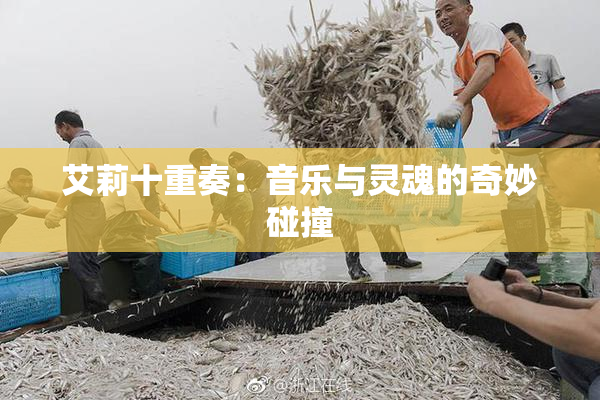 艾莉十重奏：音乐与灵魂的奇妙碰撞
