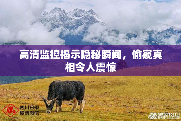 高清监控揭示隐秘瞬间，偷窥真相令人震惊