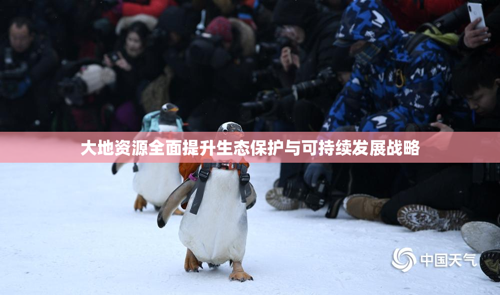 大地资源全面提升生态保护与可持续发展战略