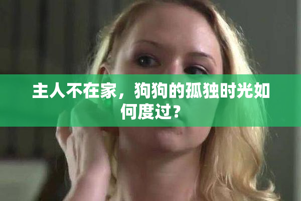 主人不在家，狗狗的孤独时光如何度过？