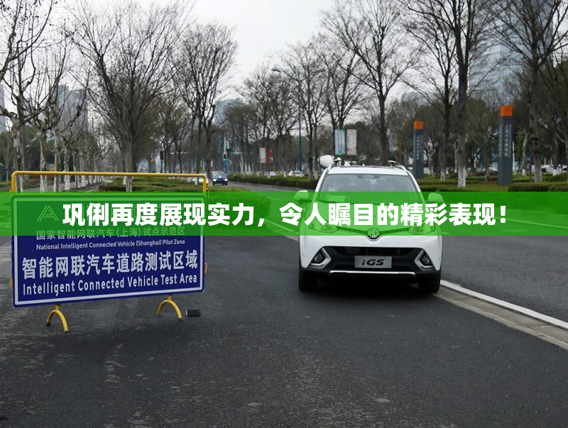 巩俐再度展现实力，令人瞩目的精彩表现！