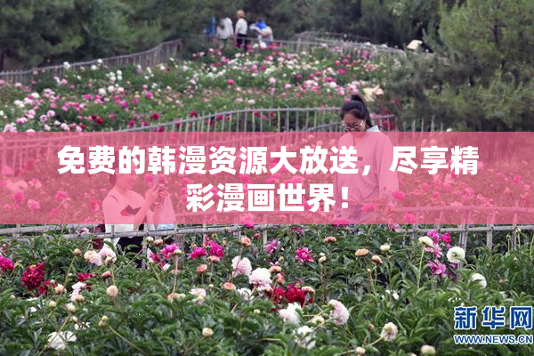 免费的韩漫资源大放送，尽享精彩漫画世界！