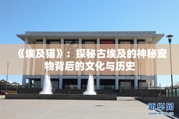 《埃及猫》：探秘古埃及的神秘宠物背后的文化与历史
