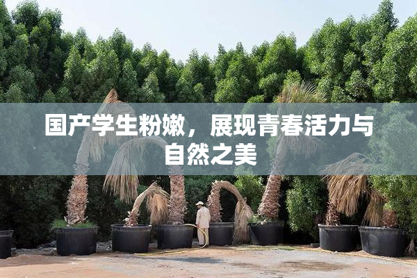 国产学生粉嫩，展现青春活力与自然之美