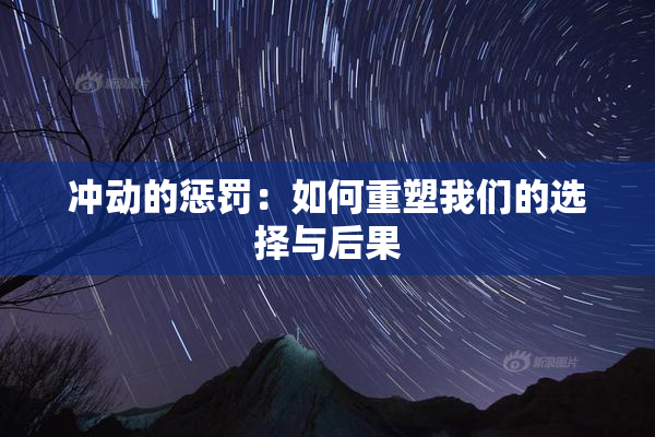 冲动的惩罚：如何重塑我们的选择与后果