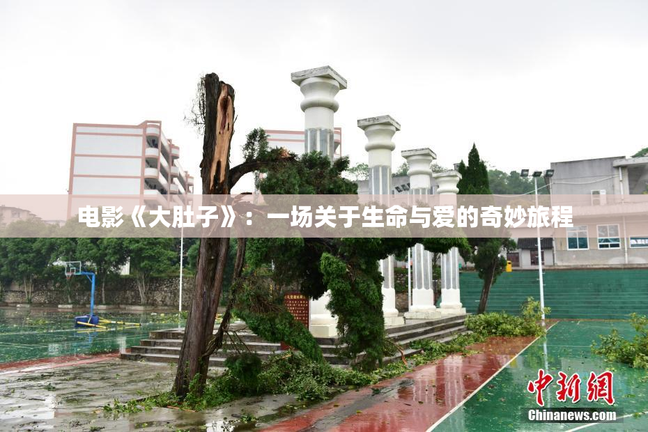 电影《大肚子》：一场关于生命与爱的奇妙旅程