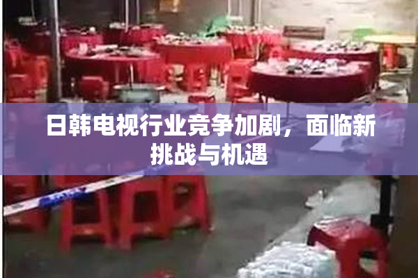 日韩电视行业竞争加剧，面临新挑战与机遇