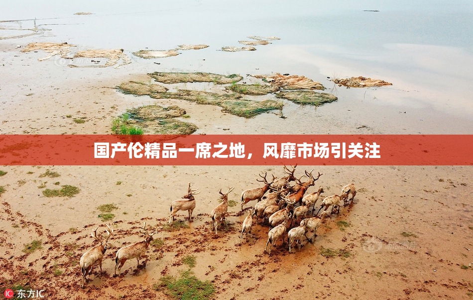国产伦精品一席之地，风靡市场引关注