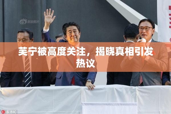 芙宁被高度关注，揭晓真相引发热议