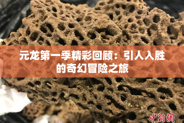 元龙第一季精彩回顾：引人入胜的奇幻冒险之旅