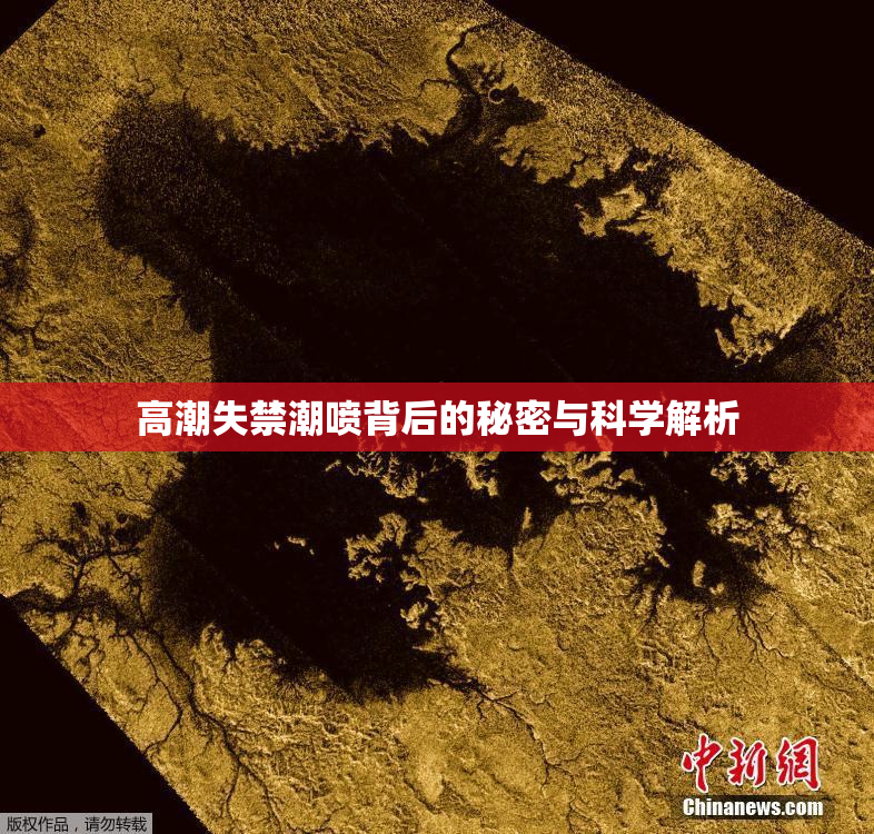 高潮失禁潮喷背后的秘密与科学解析
