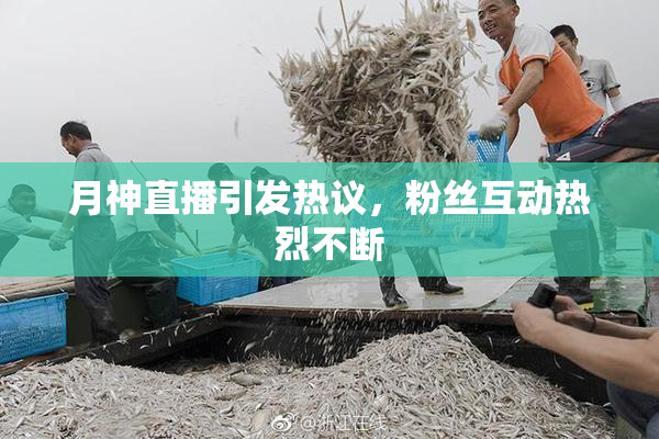 月神直播引发热议，粉丝互动热烈不断