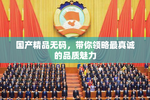 国产精品无码，带你领略最真诚的品质魅力