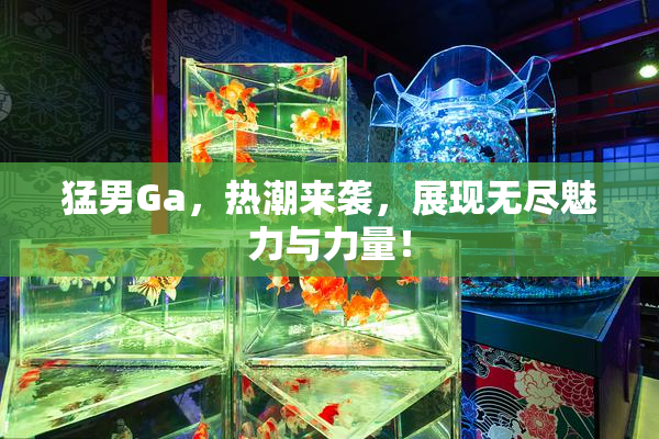 猛男Ga，热潮来袭，展现无尽魅力与力量！