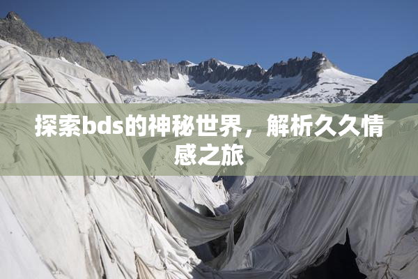 探索bds的神秘世界，解析久久情感之旅