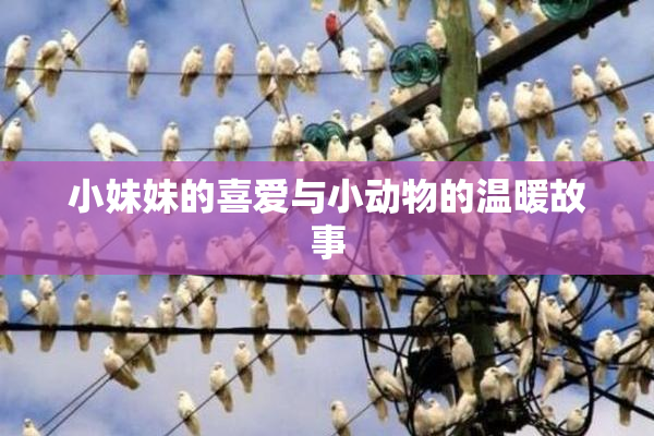 小妹妹的喜爱与小动物的温暖故事