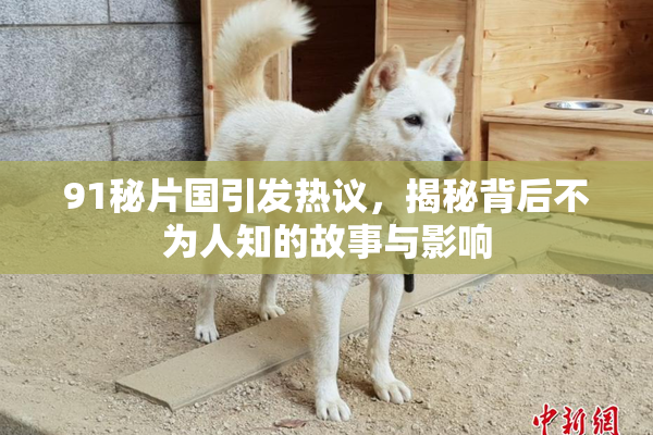 91秘片国引发热议，揭秘背后不为人知的故事与影响