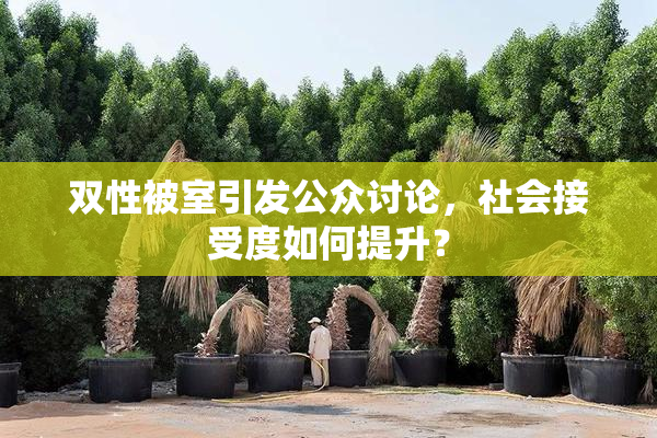 双性被室引发公众讨论，社会接受度如何提升？