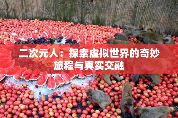 二次元人：探索虚拟世界的奇妙旅程与真实交融