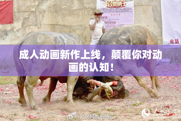 成人动画新作上线，颠覆你对动画的认知！