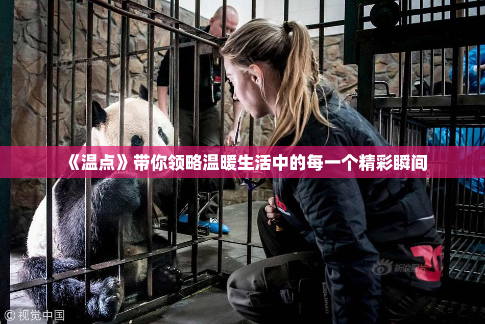 《温点》带你领略温暖生活中的每一个精彩瞬间