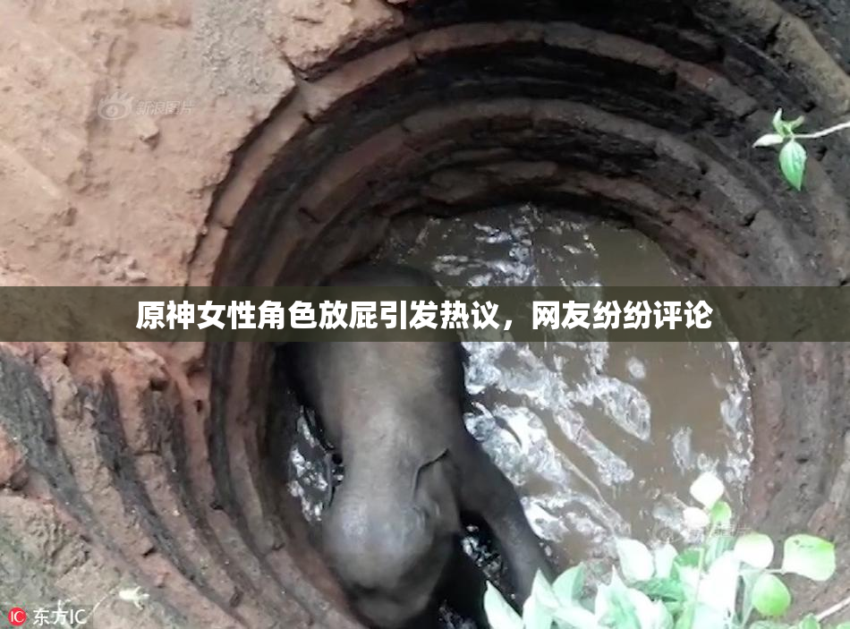 原神女性角色放屁引发热议，网友纷纷评论
