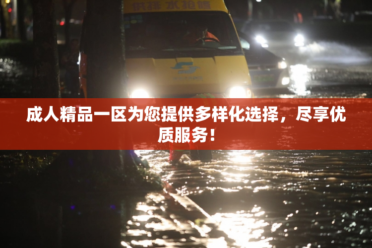 成人精品一区为您提供多样化选择，尽享优质服务！