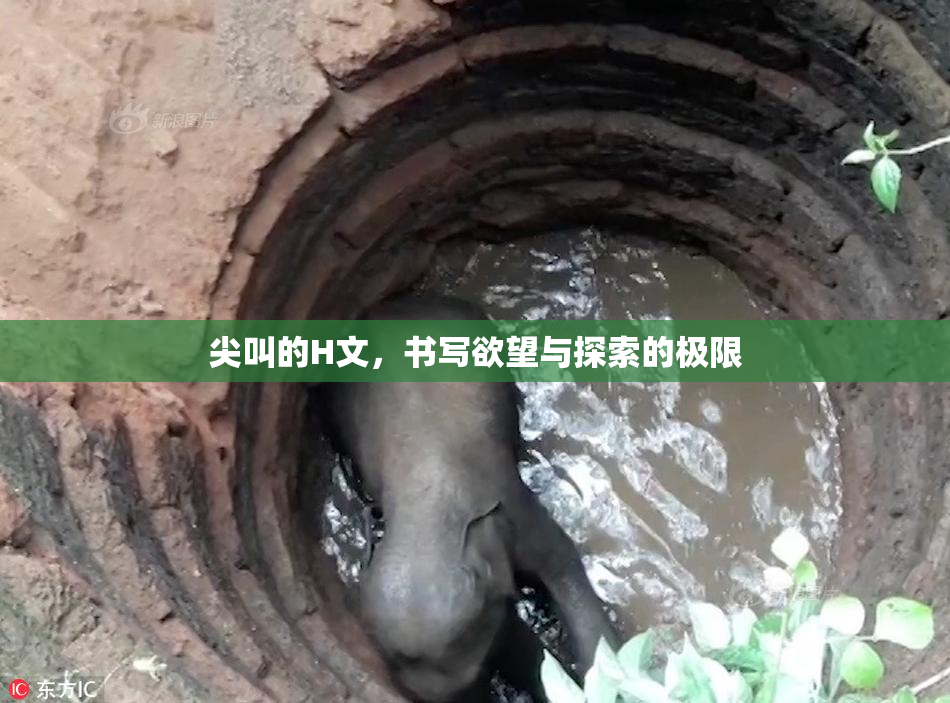 尖叫的H文，书写欲望与探索的极限