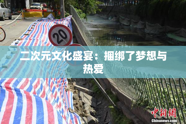 二次元文化盛宴：捆绑了梦想与热爱