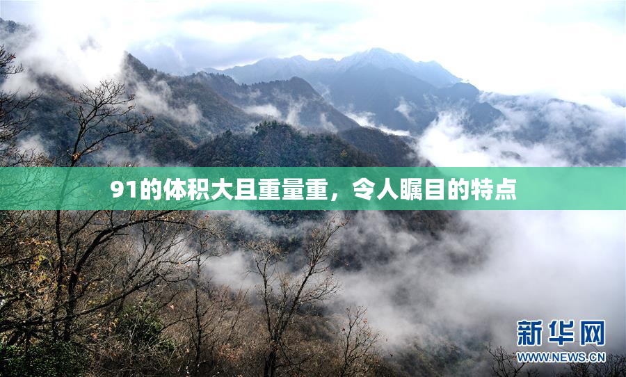 91的体积大且重量重，令人瞩目的特点