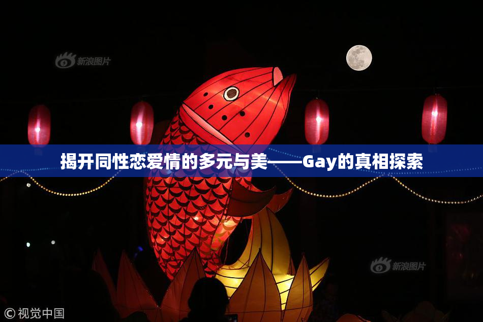 揭开同性恋爱情的多元与美——Gay的真相探索