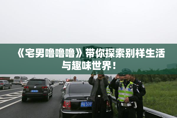 《宅男噜噜噜》带你探索别样生活与趣味世界！