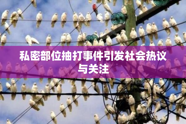私密部位抽打事件引发社会热议与关注