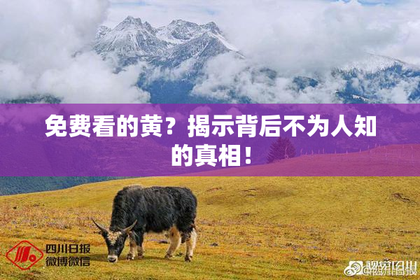 免费看的黄？揭示背后不为人知的真相！