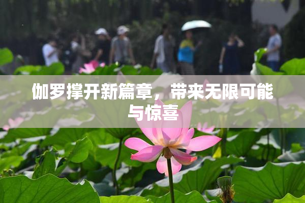 伽罗撑开新篇章，带来无限可能与惊喜