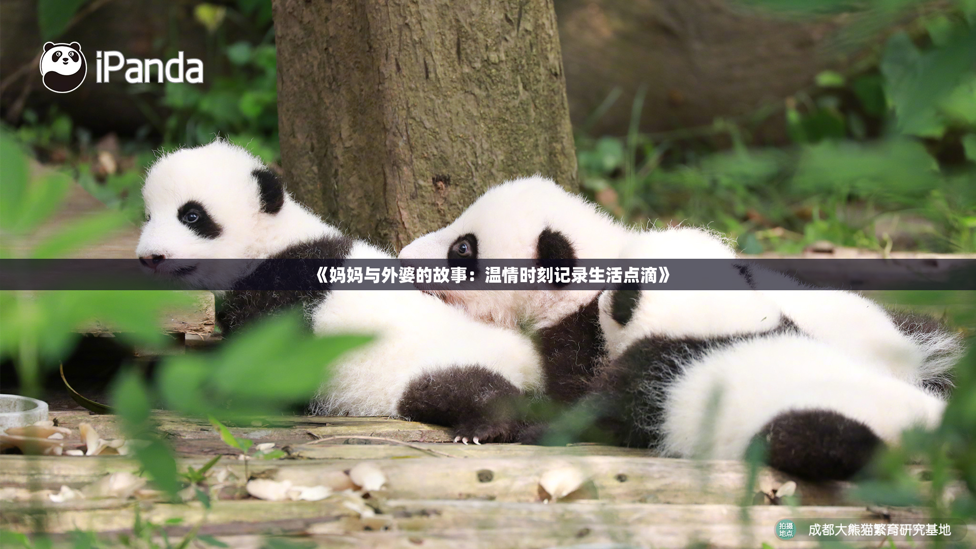 《妈妈与外婆的故事：温情时刻记录生活点滴》
