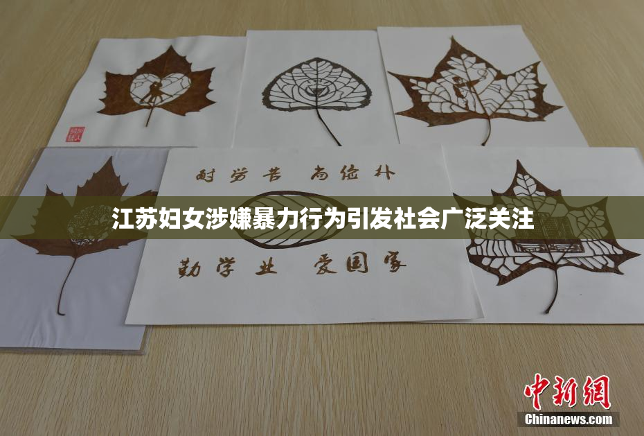 江苏妇女涉嫌暴力行为引发社会广泛关注