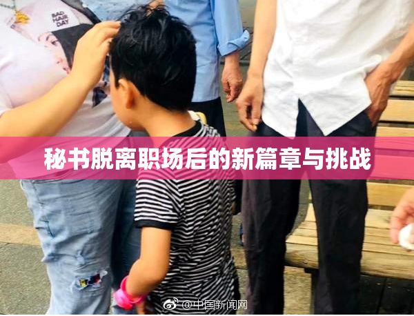 秘书脱离职场后的新篇章与挑战