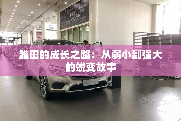 雏田的成长之路：从弱小到强大的蜕变故事