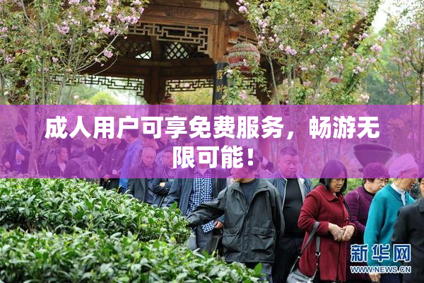 成人用户可享免费服务，畅游无限可能！