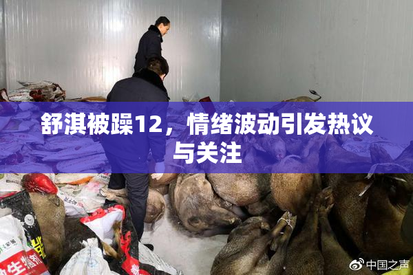 舒淇被躁12，情绪波动引发热议与关注