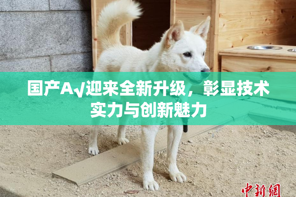 国产A√迎来全新升级，彰显技术实力与创新魅力