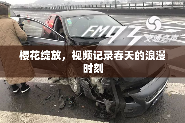 樱花绽放，视频记录春天的浪漫时刻