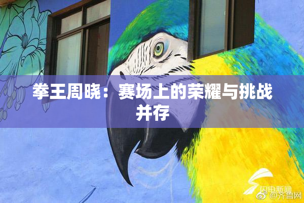 拳王周晓：赛场上的荣耀与挑战并存