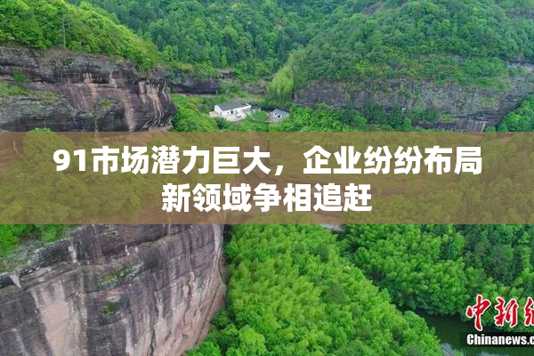 91市场潜力巨大，企业纷纷布局新领域争相追赶