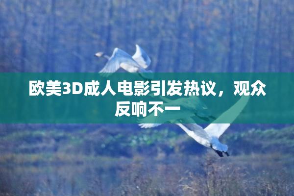 欧美3D成人电影引发热议，观众反响不一